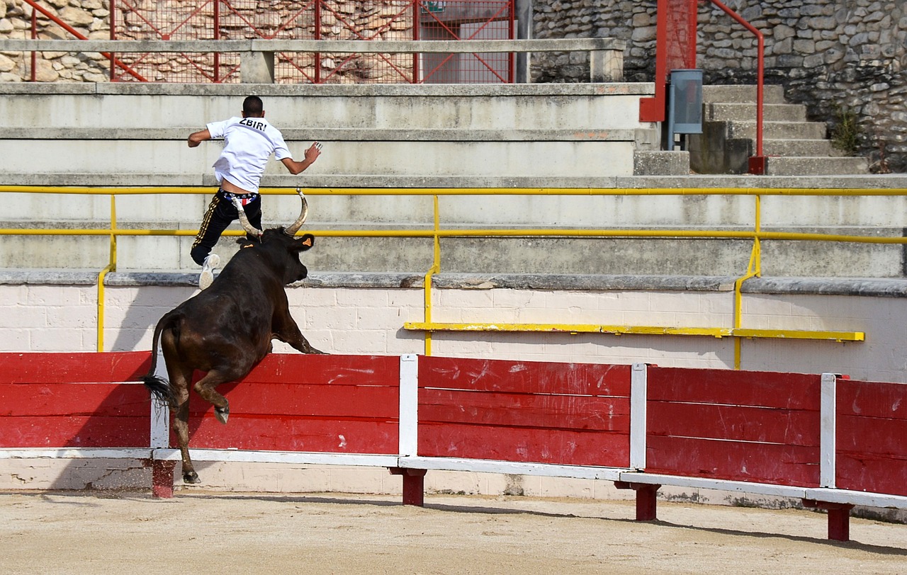 男篮